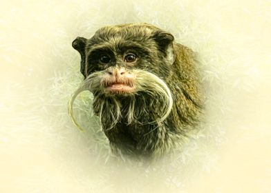 Emperor Tamarin