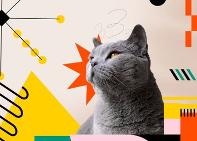 Cat in Geometric Design