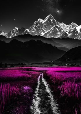 Pink Field and Mountain