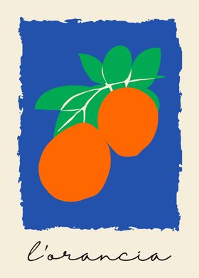 Orange Fruit Illustration