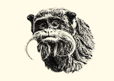 Emperor Tamarin Portrait