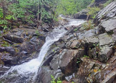 Small secluded Waterfall