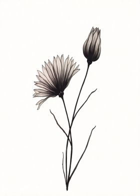 Black and White Flower Illustration