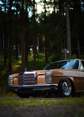 Vintage Mercedes in Forest