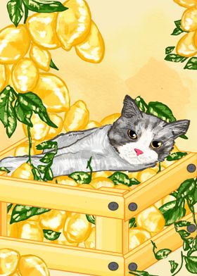 Whiskered Lemons