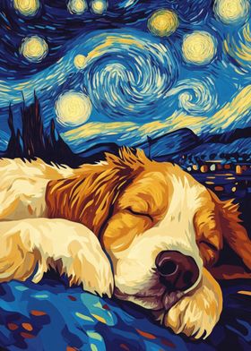 Dog Sleeping Under Starry Night