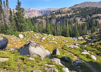 Mountain Boulder Meadow