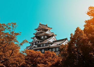 Japanese Castle with Autumn Trees