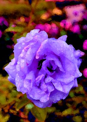 Purple Rose Watercolor