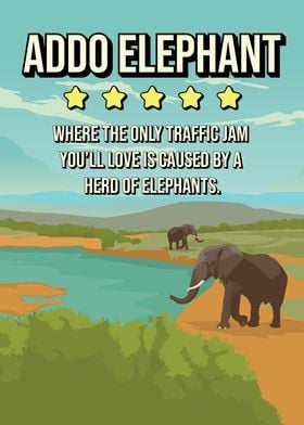 Funny Addo Elephant Africa Review Travel Poster