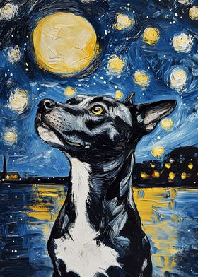 Dog in Starry Night