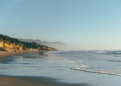 Coastal Landscape