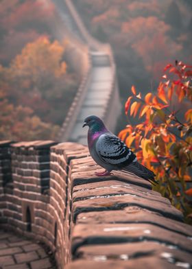 Pigeon on the Great Wall