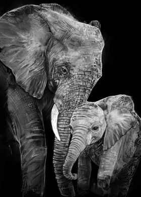 Elephant Family Portrait