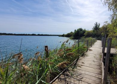 Lake Walkway