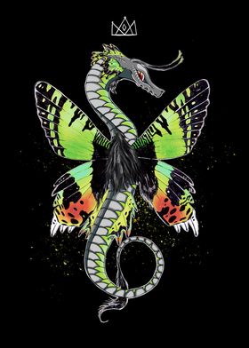 Butterfly Dragon