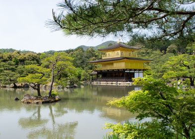 Kinkaku-ji - On reflection