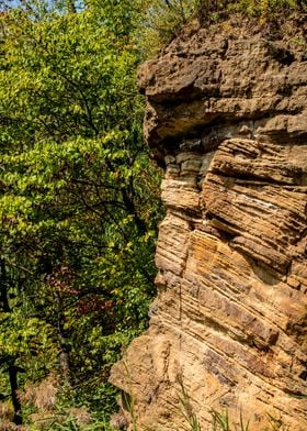 Layered Sandstone Rock Face Landscape