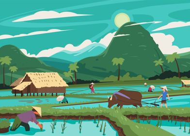 Rice Paddy Landscape