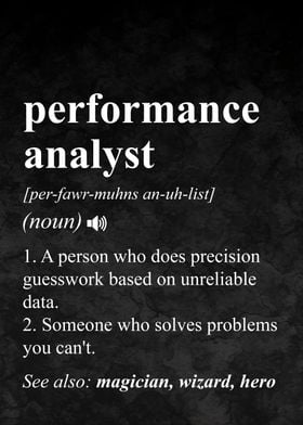 Performance Analyst Job Definition