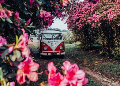 Classic Van in a Flower Garden