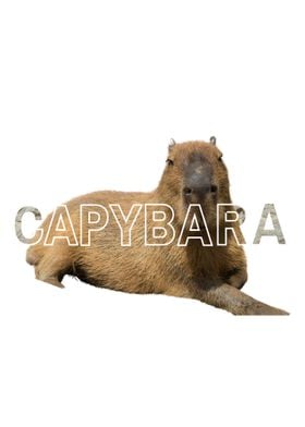 Capybara Portrait