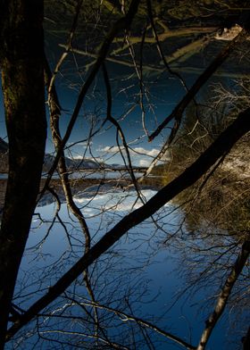 Reflected Sky Through Branches