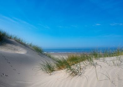 Sandy Beach Dune