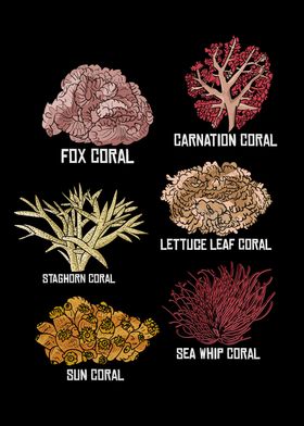  Aquarium Reef Save The Coral Aquarist Marine Biology