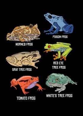 Types Of Frogs Lover Kids Frog Species Frogs