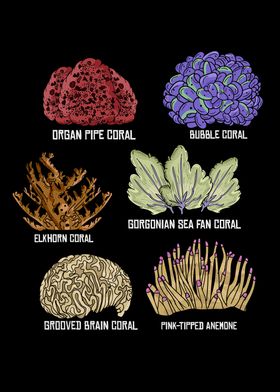 Coral Aquarist Marine Biology Aquarium Reef Save The Coral