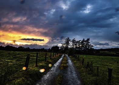 Country Road Sunset