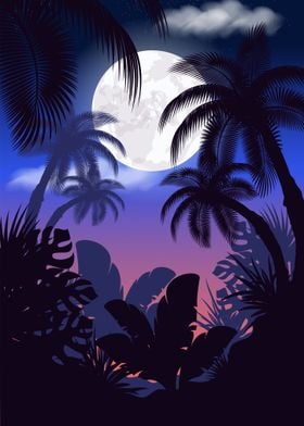 Tropical Night Sky