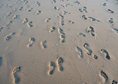 Footprints in the Sand