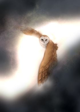 Owl in Flight through back-lit Clouds