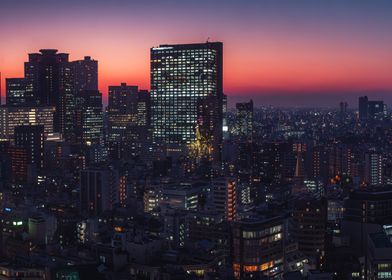 Tokyo Skyline at Dusk