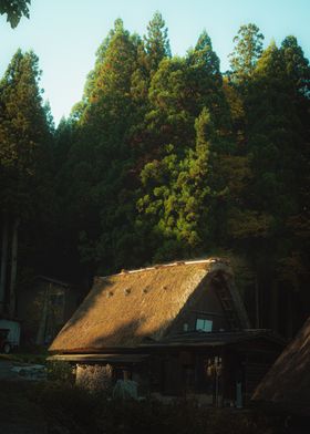 Traditional Japanese House