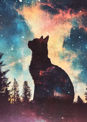 Cat in the Galaxy