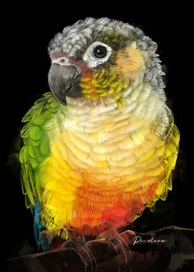 Green-winged Parrot Portrait