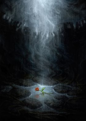 Single Rose in a Dark Cave