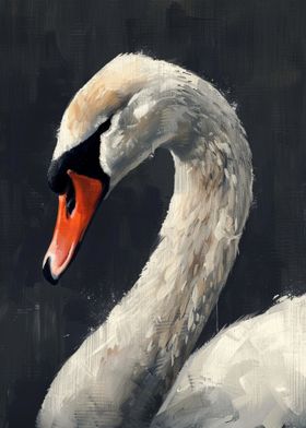 White Swan Portrait