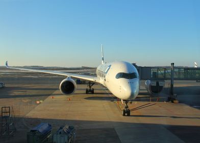 Airplane at Airport Gate