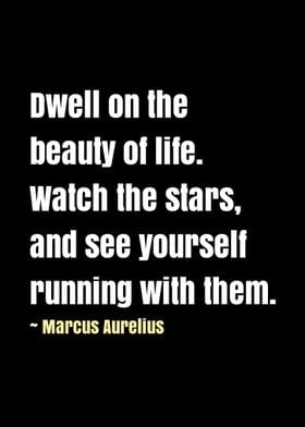 Marcus Aurelius Quote