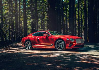 Red Bentley in Forest