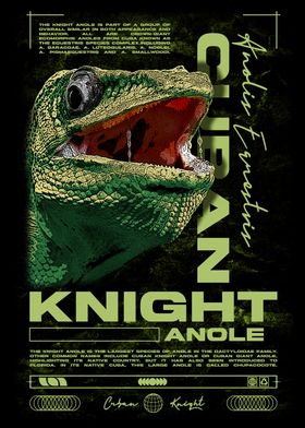 Cuban Knight Anole Reptile Keeper