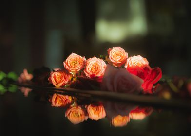 Roses Reflection