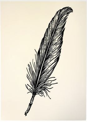 Black and White Feather Illustration