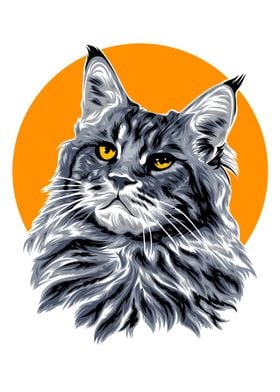 Maine Coon Cat Portrait