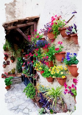 Flower-Filled Courtyard