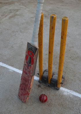 Cricket is a lifestyle